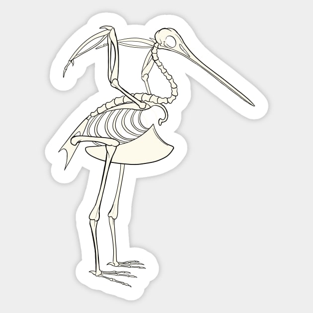 Bar-Tailed Godwit Skeleton Sticker by Khalico